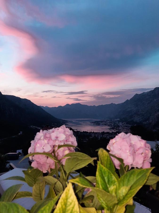 Apartmani Vasilije Kotor Exterior foto